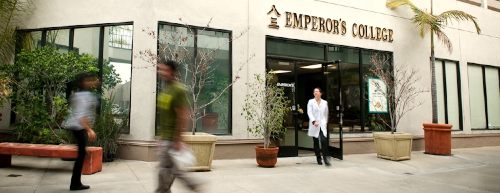 Emperor S College Of Traditional Oriental Medicine Wilshire Blvd