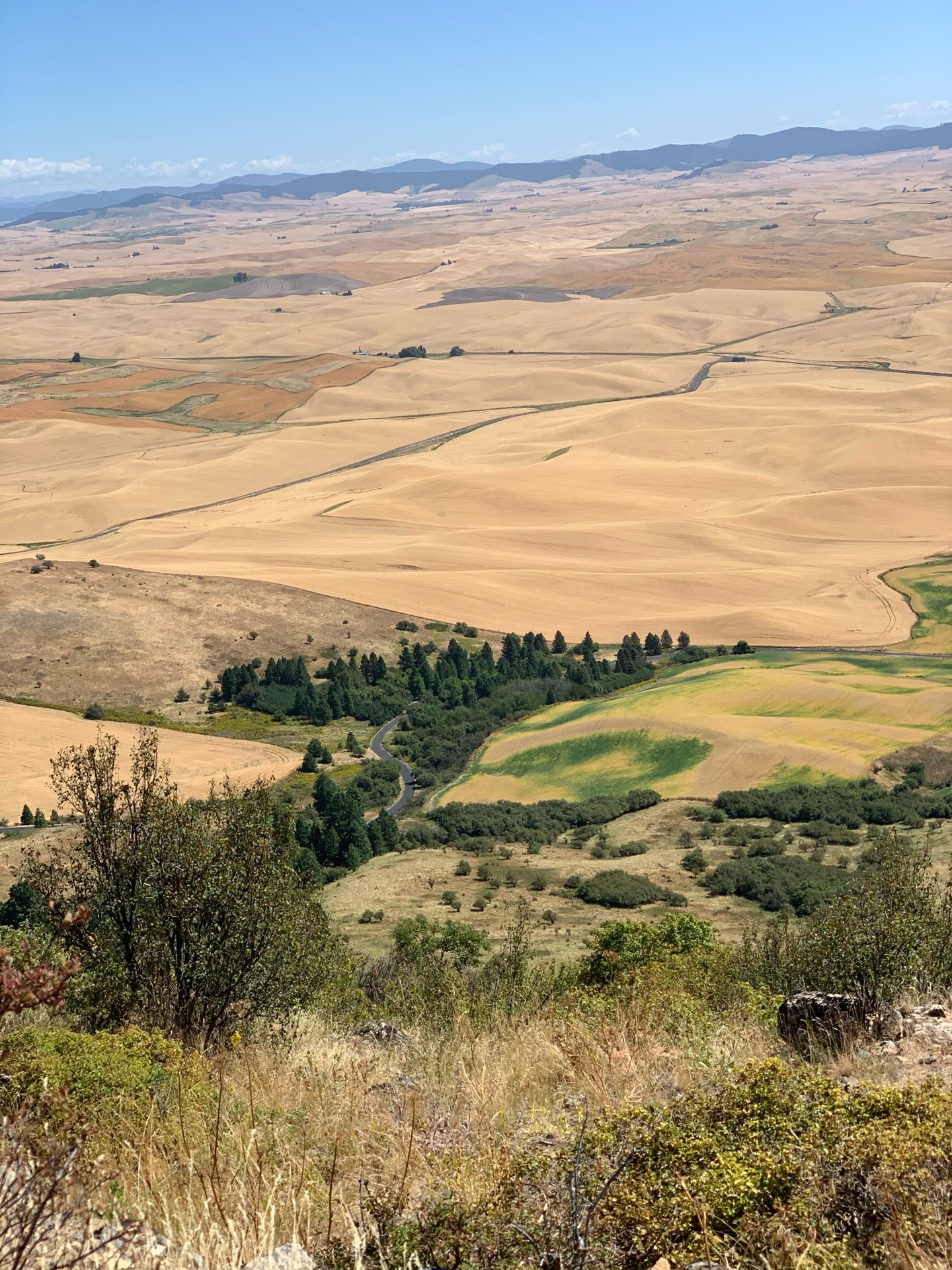 Steptoe Butte State Park Milepost Hume Road Colfax Wa Parks