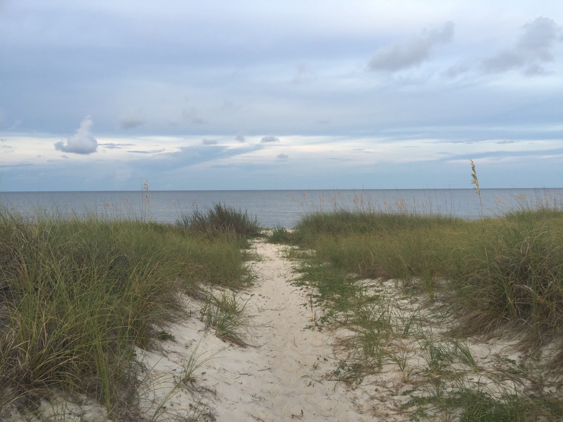 Bald Point State Park Box Cut Rd Alligator Point Fl Parks