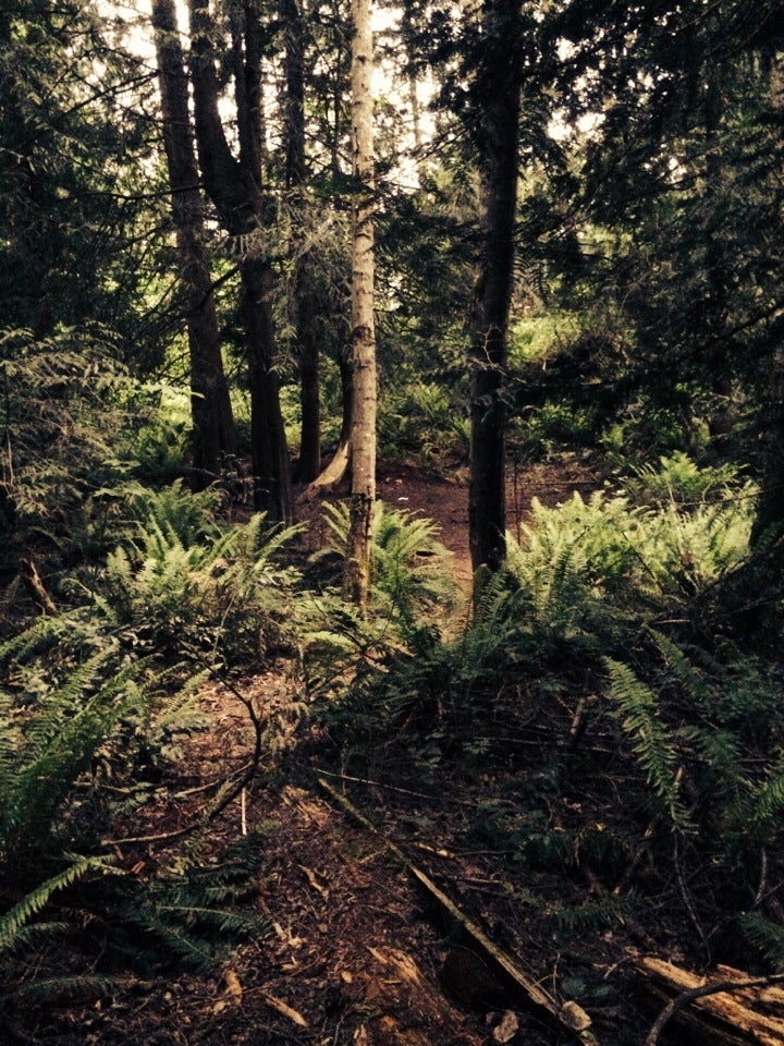 Allan Yorke Park W Tapps Hwy E Bonney Lake Wa Playgrounds