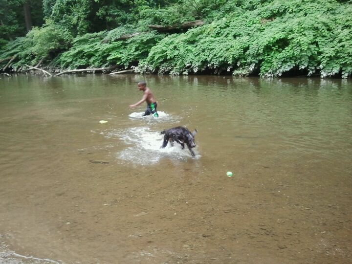 Devil S Pool Wissahickon Creek Forbidden Drive Trl Philadelphia Pa