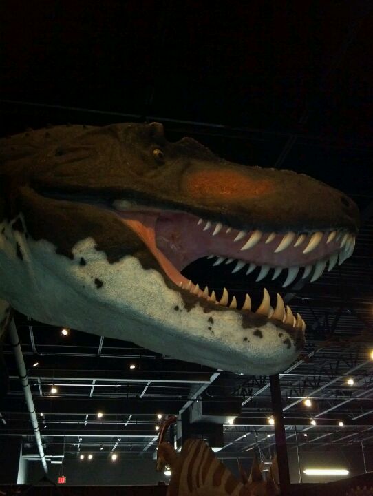 Dinosaur Museum W Country Blvd Branson Mo Museums Mapquest