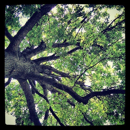 Savior Pastoral Center