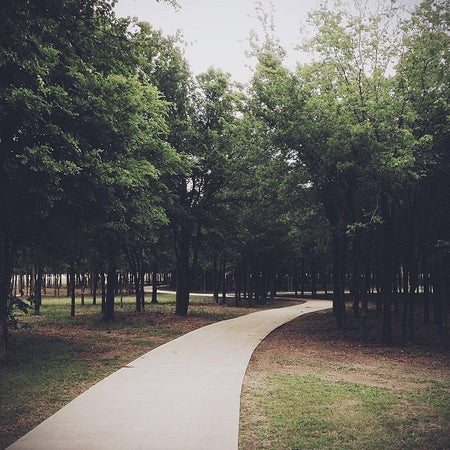 Celebration Park