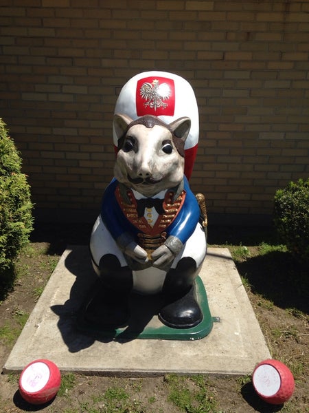 Pulaski Club of Olean