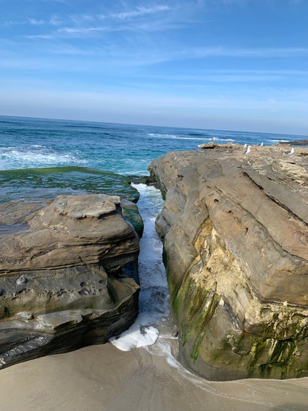 NEIGHBORHOOD - sft　WINDANDSEA×NEIGHBORHOOD iPhone12 Windansea Beach in La Jolla, CA United States - Apple Maps