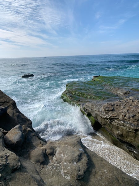 NEIGHBORHOOD - sft　WINDANDSEA×NEIGHBORHOOD iPhone12 Windansea Beach in La Jolla, CA United States - Apple Maps