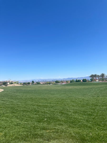 Fox Hill Park Photos