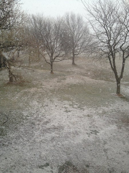 Savior Pastoral Center