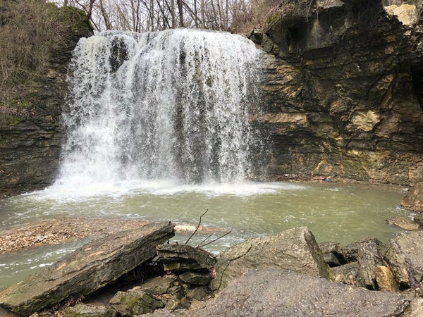 Hayden Falls Park Photos