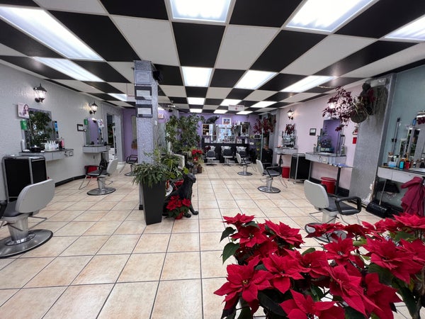 Julio Estrada’s Salon