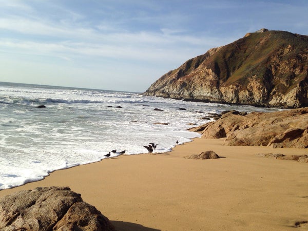 Gray Whale Cove State Beach