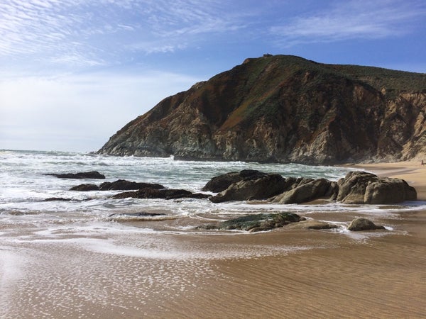 Gray Whale Cove State Beach