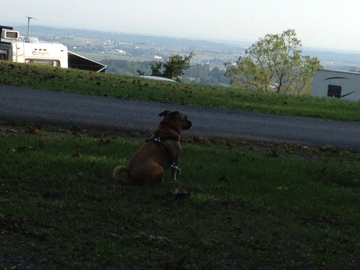 Schaefferstown, PA Map & Directions MapQuest