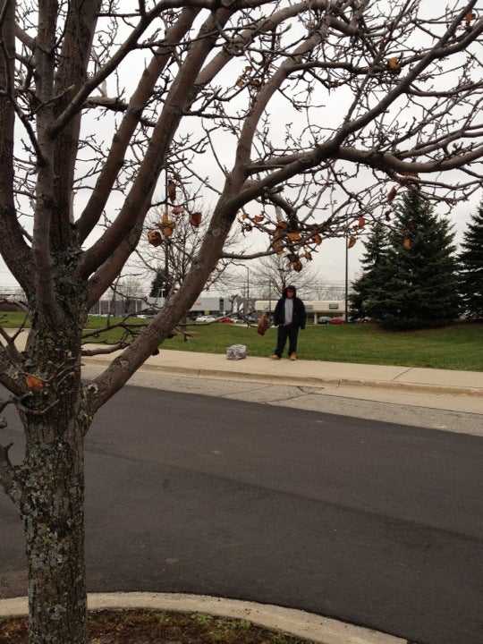 Megabus Stop, 2500 S State St, Ann Arbor, MI, Bus Lines MapQuest