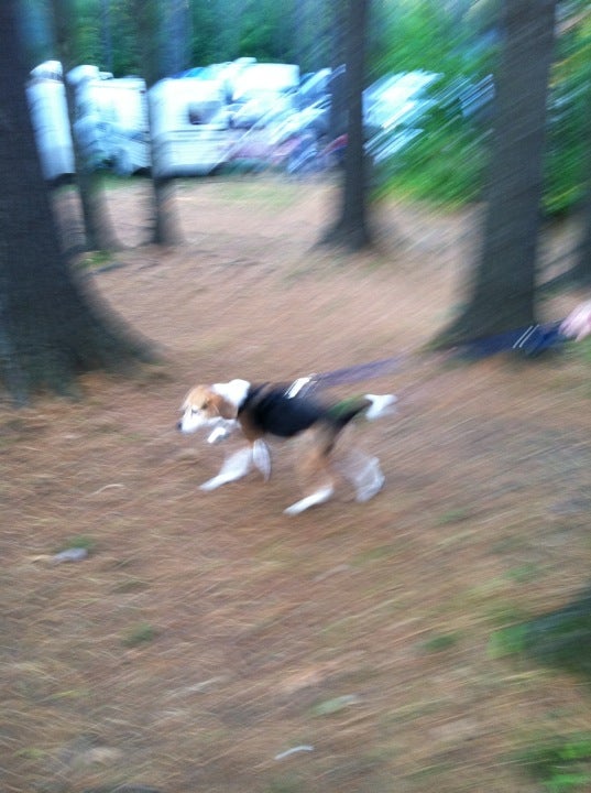 Claremont, NH Map & Directions MapQuest