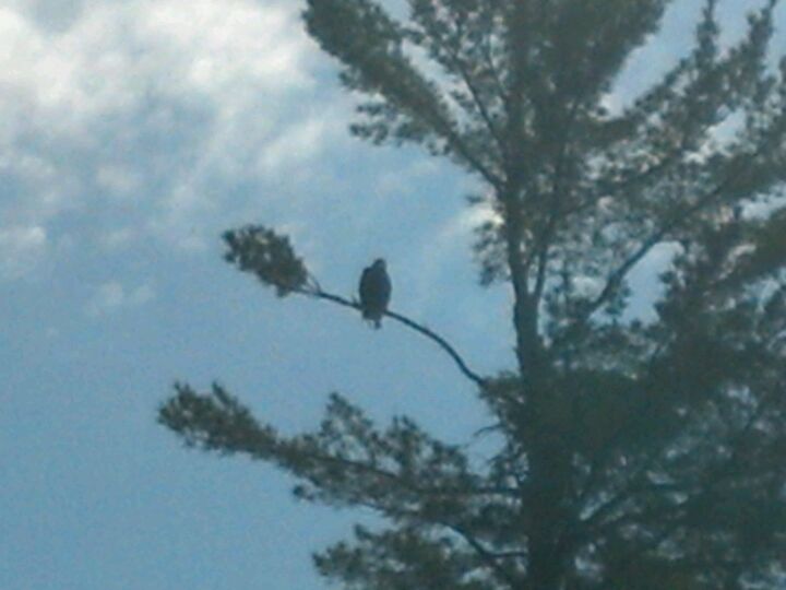 Pickerel Lake, Little Pickerel Ln, Townsend, Town of, WI MapQuest