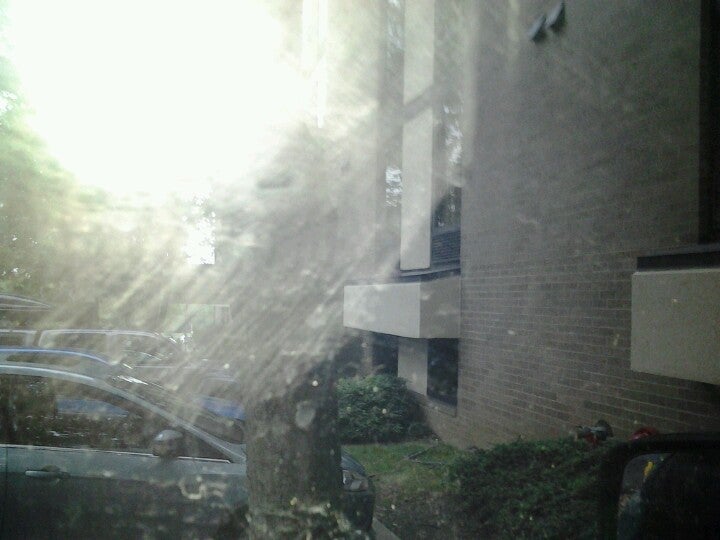 Comfort Inn Shady Grove Gaithersburg Rockville, 16216 Frederick Rd