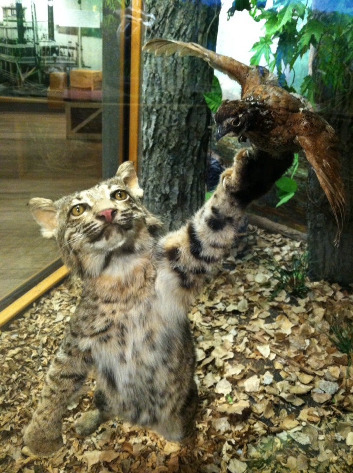 Blair, NE Map & Directions MapQuest