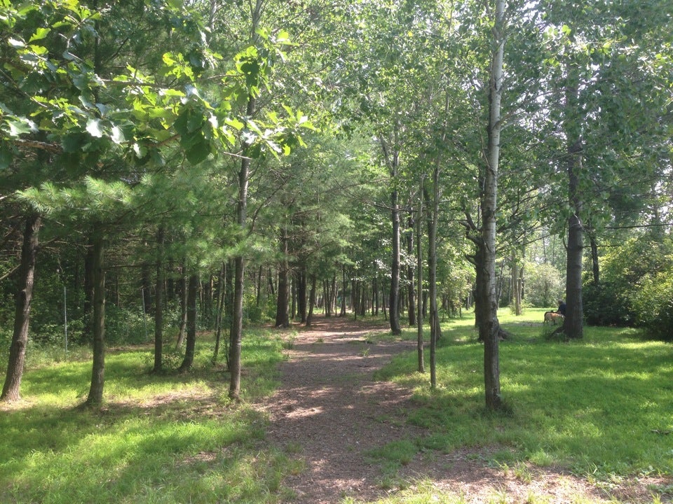 Shelburne Dog Park, Harbor Rd, Shelburne, Town of, VT, Parks MapQuest