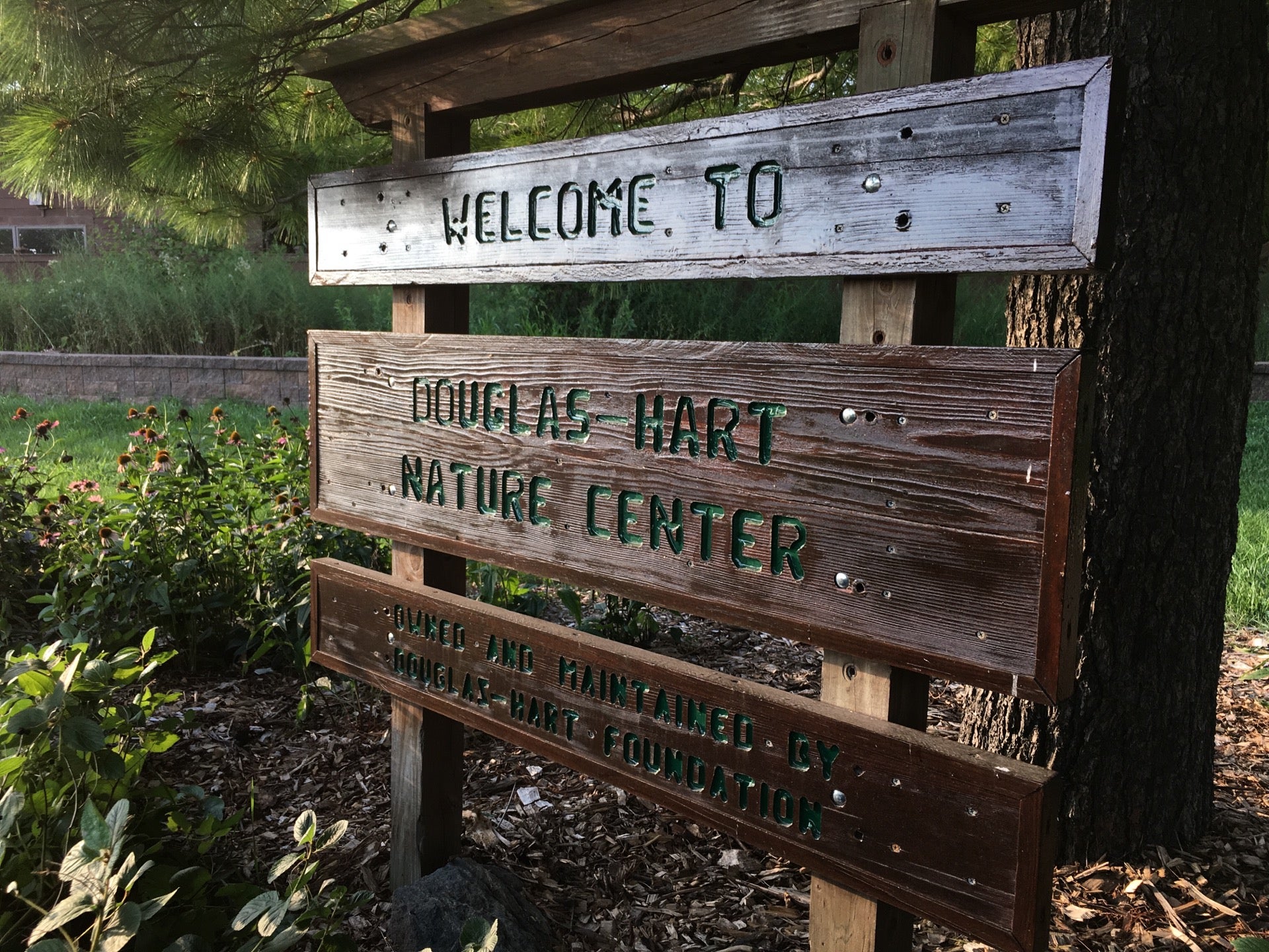 Arcola, IL Map & Directions MapQuest