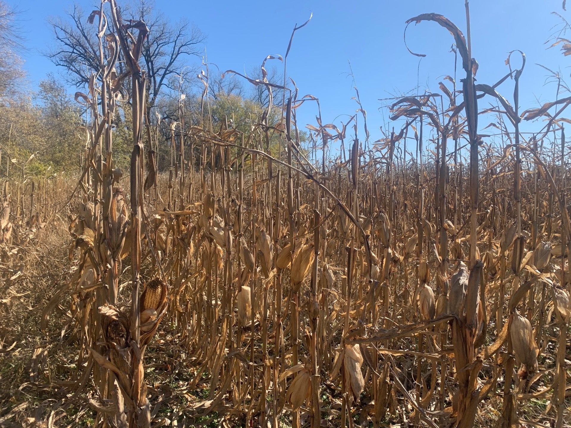 Katy Trail State Park Dutzow Trailhead, Dutzow, MO, Trail MapQuest