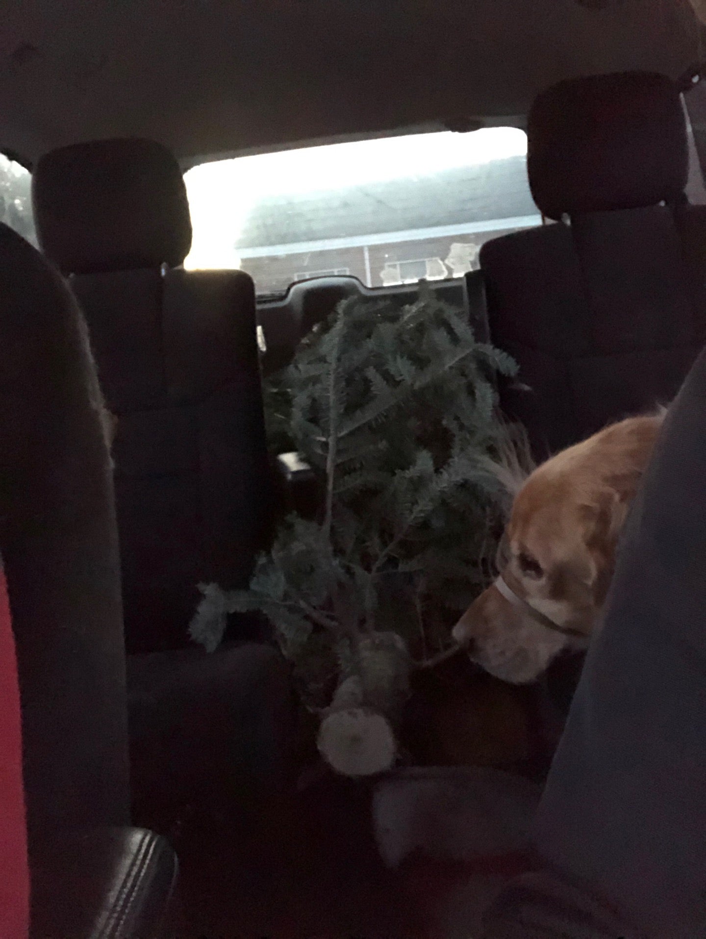 Best Liquor Store in Kemp Mill, Maryland MapQuest