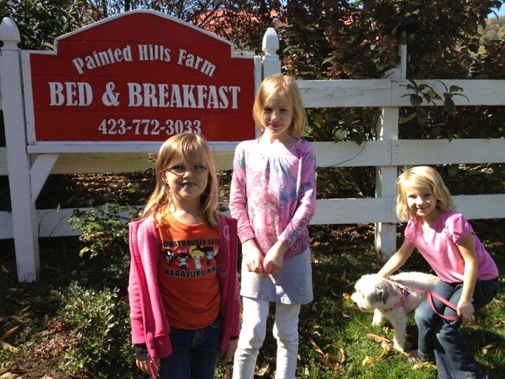 Painted Hills Farm Bed and Breakfast, 330 Heaton Ridge Rd, Roan Mountain, TN, Bed & Breakfasts
