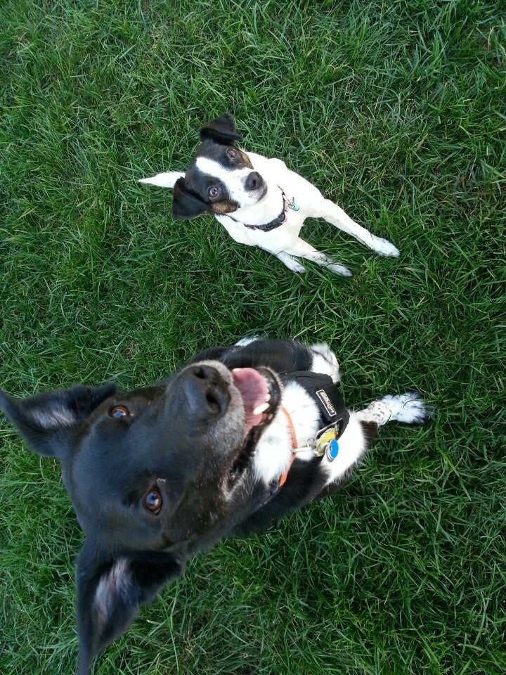 Creature Comfort Pet Emporium