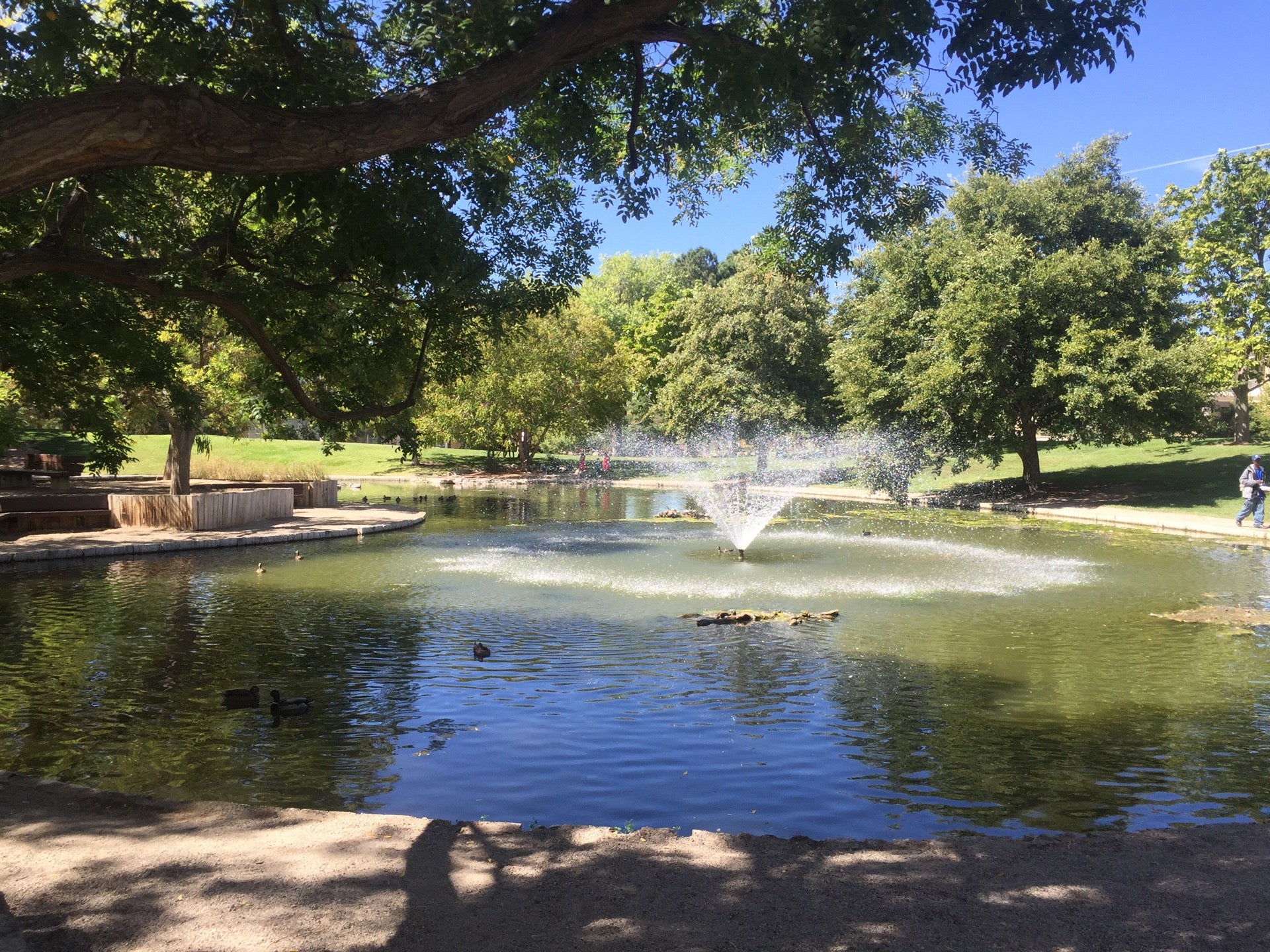 UNM Duck Pond, 401 Yale Blvd NE, Albuquerque, NM - MapQuest