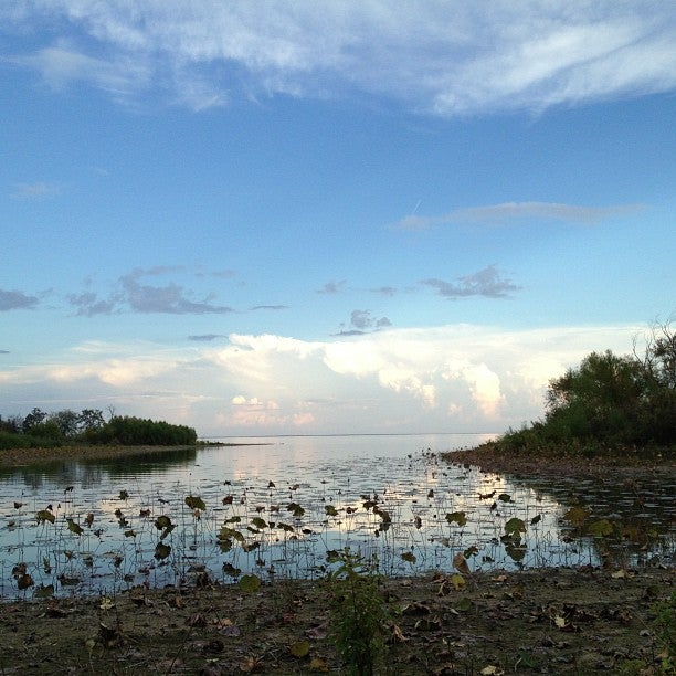 Top 30+ Background Images 10822 fm 2475 wills point, tx 75169 Superb