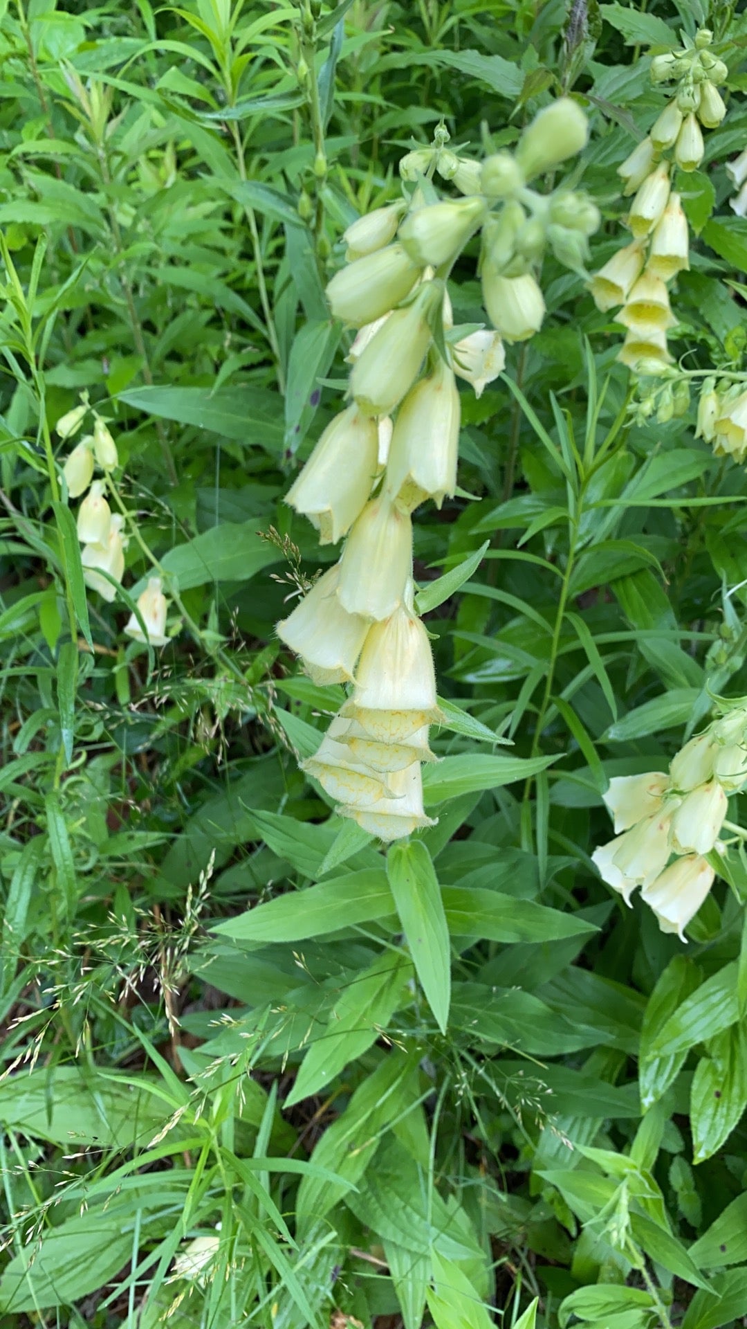 Tannersville, NY Map & Directions MapQuest