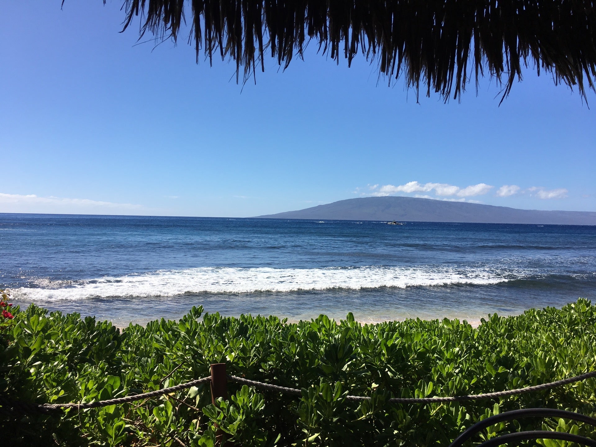 hyatt-regency-maui-grotto-bar-200-nohea-kai-dr-lahaina-hawaii-beach