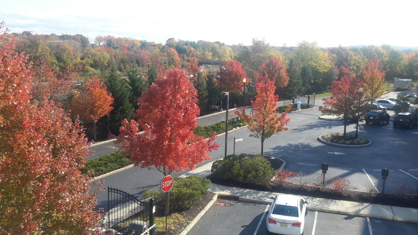 Best Realtors in Aberdeen, New Jersey MapQuest