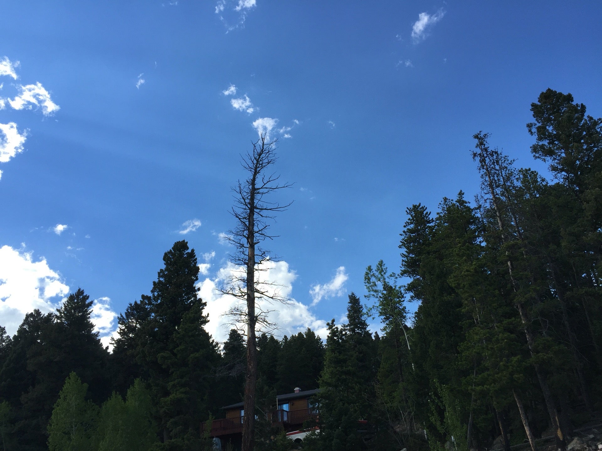 Top of Conifer Mountain, Conifer Mountain Rd, Conifer, CO, Places