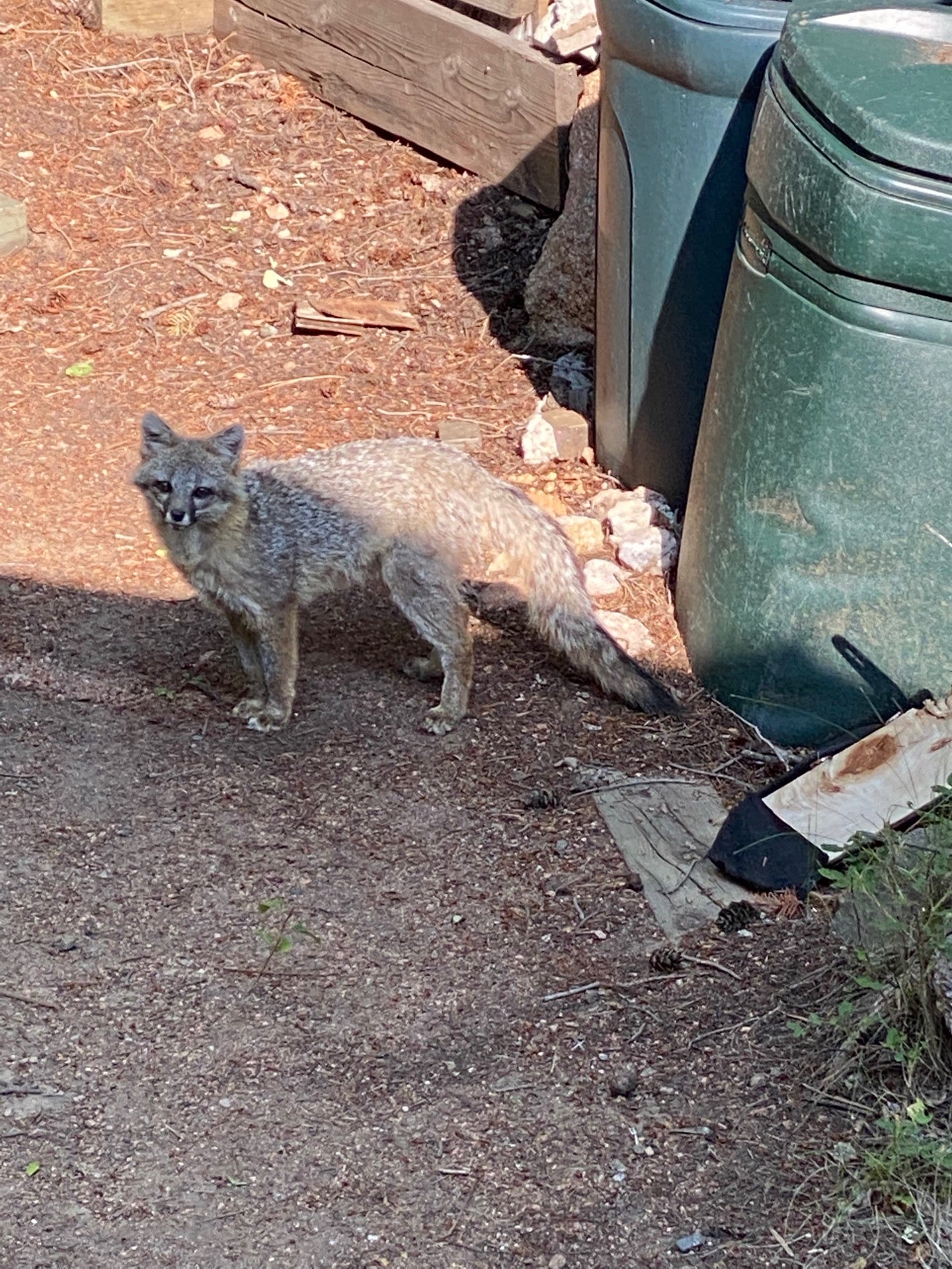 Bailey, CO Map & Directions MapQuest