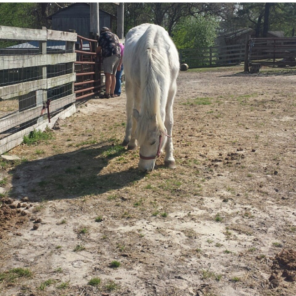 Gillis Hill Farm, 2701 Gillis Hill Rd, Fayetteville, NC, Farms MapQuest