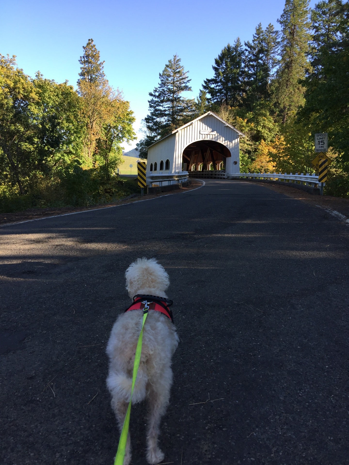 Yoncalla, OR Map & Directions MapQuest