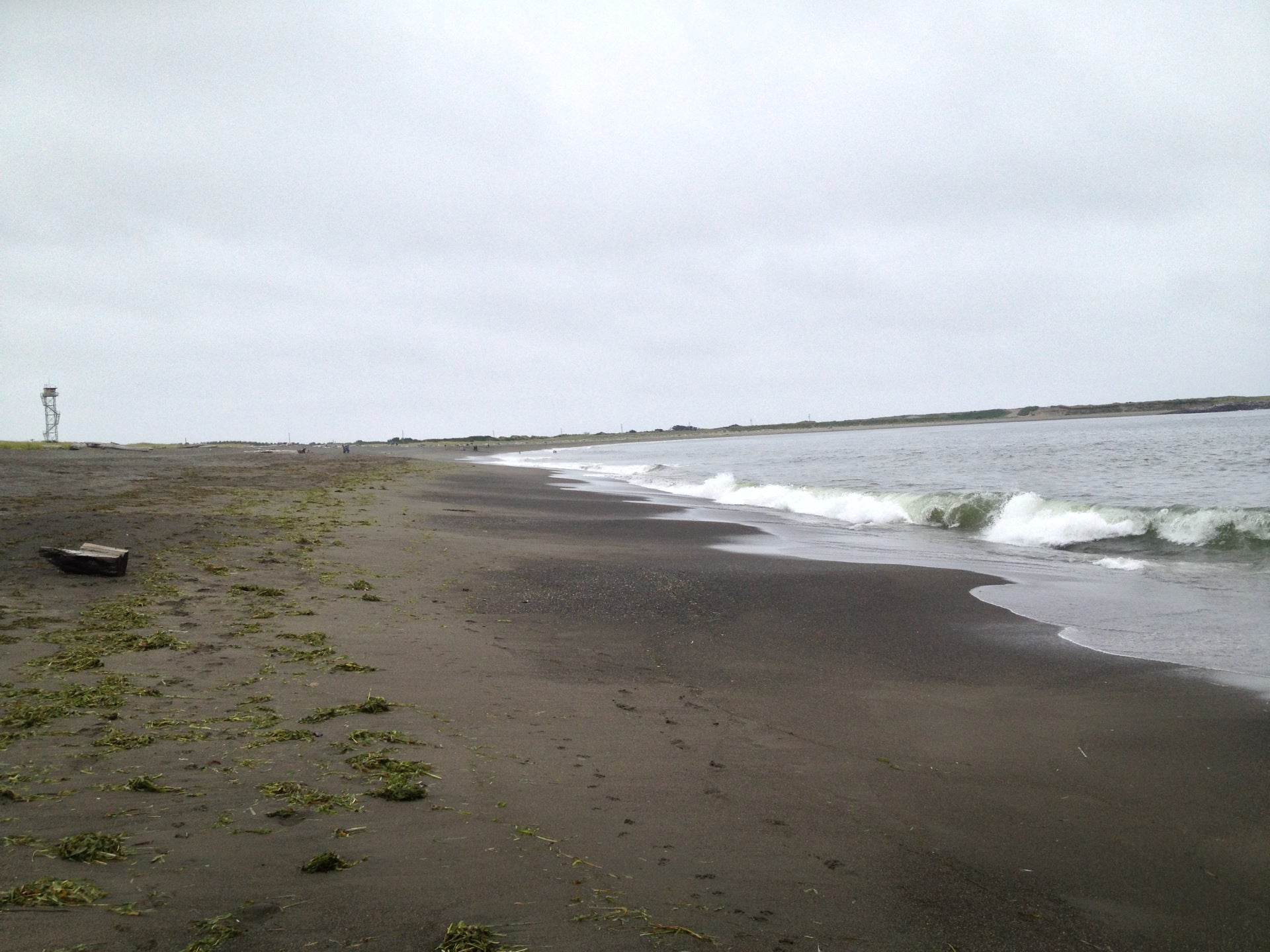 Westhaven State Park, 1595 Ocean Ave, Westport, WA, Parks - MapQuest