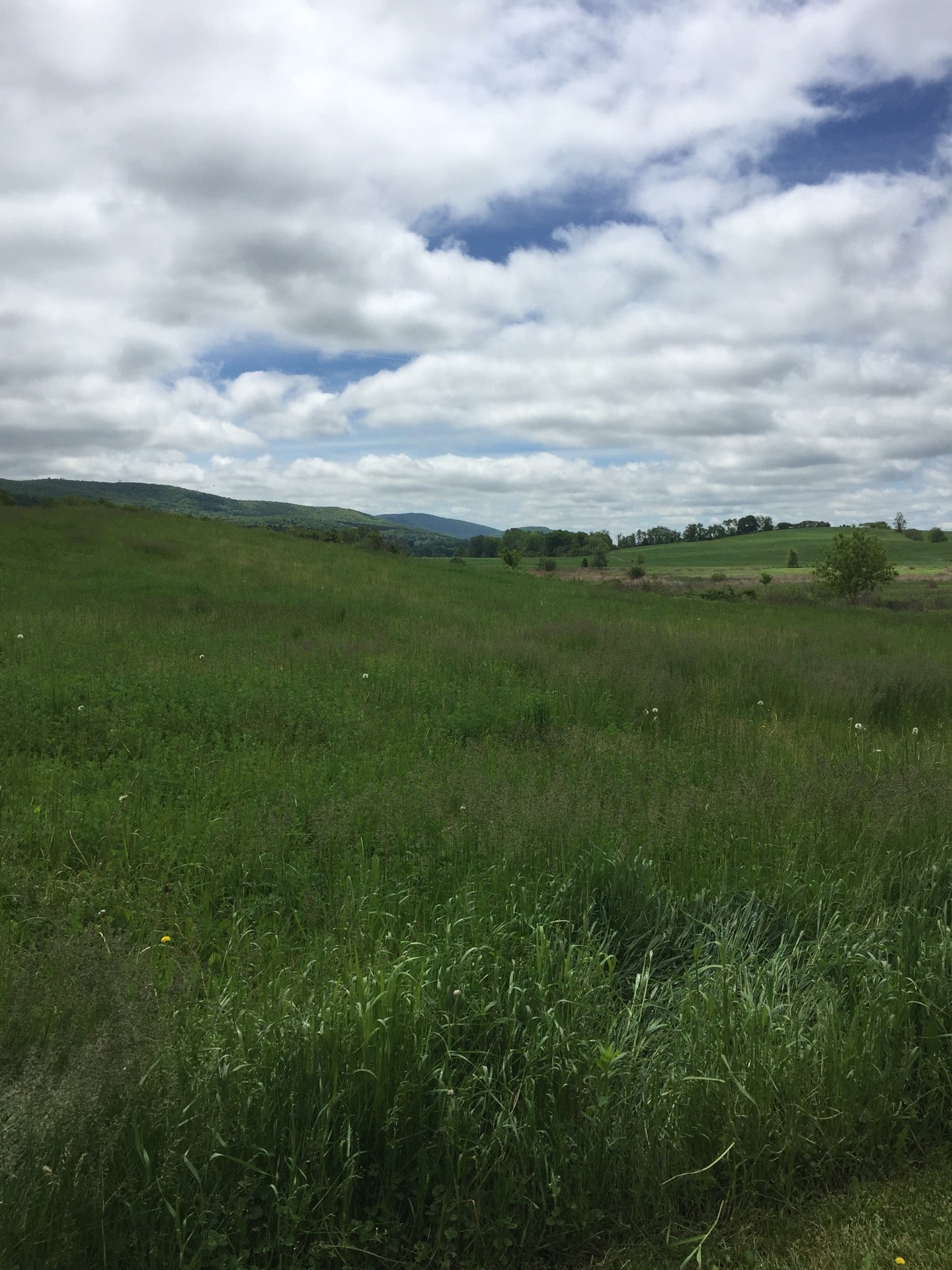 Roeliff Jansen Park, 9156 State Route 22, Hillsdale, NY MapQuest