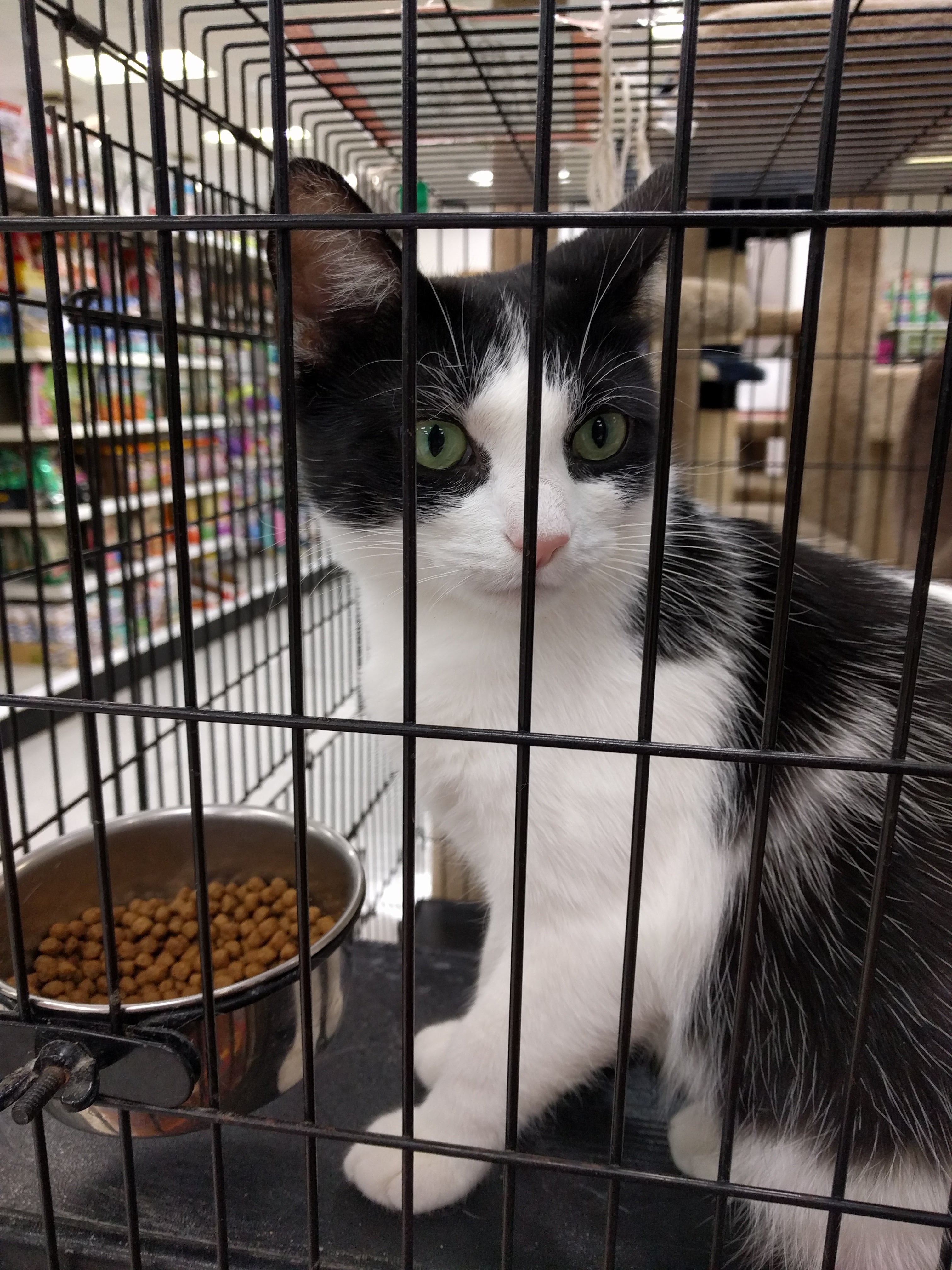 Pet Food Center, 2744 Frederica St, Owensboro, KY MapQuest