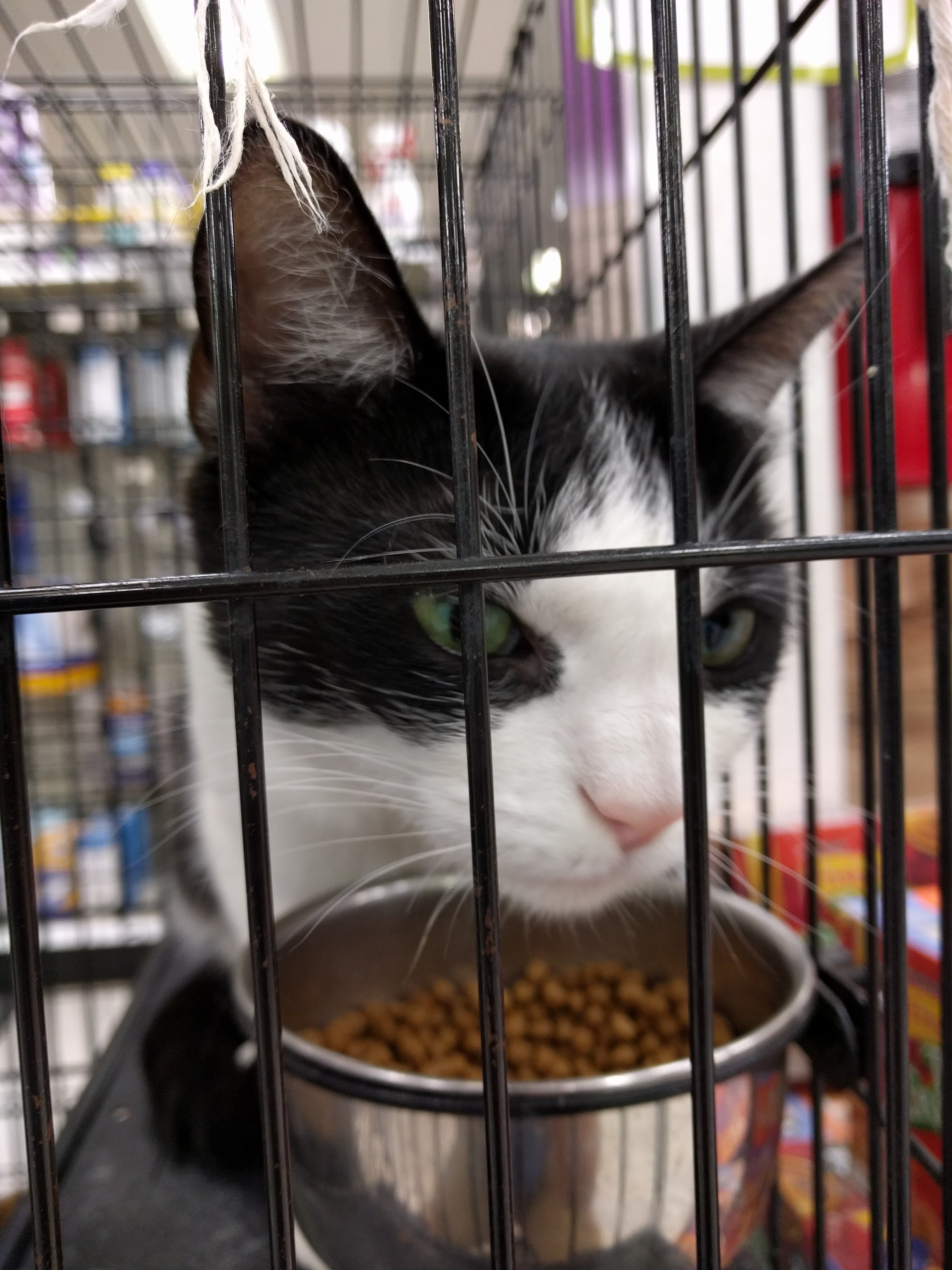 Pet Food Center, 2744 Frederica St, Owensboro, KY MapQuest