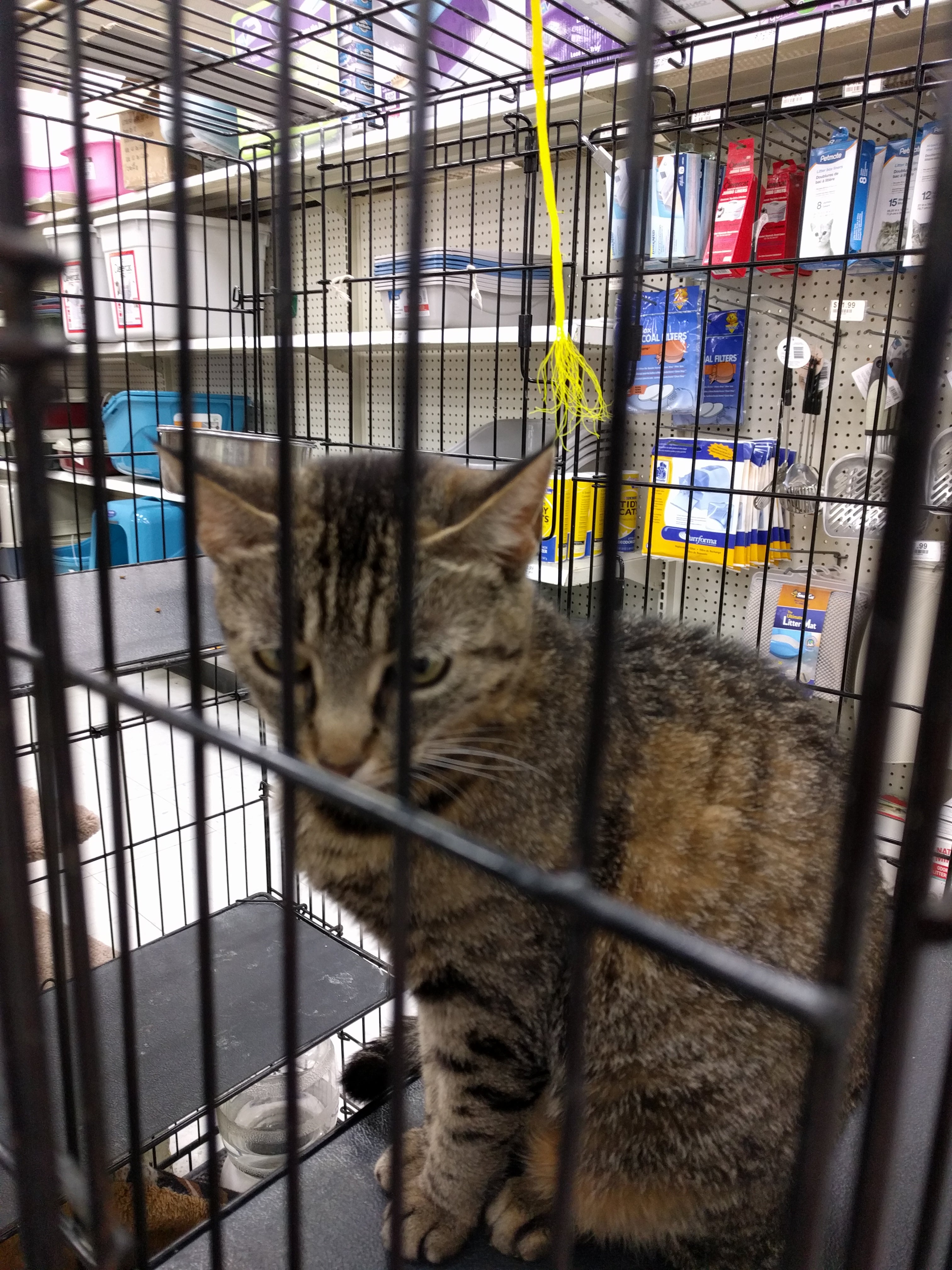 Pet Food Center, 2744 Frederica St, Owensboro, KY MapQuest