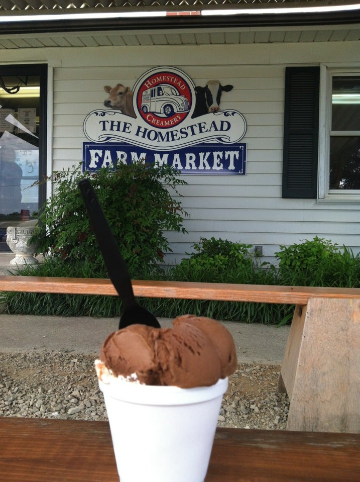 Homestead Creamery, 7254 Booker T Washington Hwy, Wirtz, VA, Eating