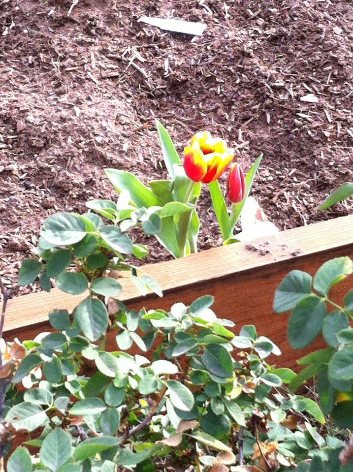 Park La Brea Cleaners, 401 S Burnside Ave, Los Angeles, CA, Dry Cleaners MapQuest