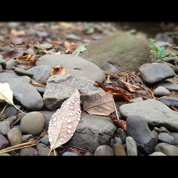 Oneonta, NY Map & Directions MapQuest