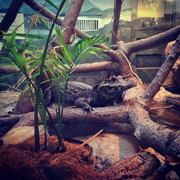 Reptile House, 2920 Zoo Dr, San Diego, CA, Zoos MapQuest