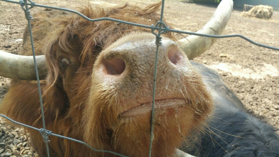 Jamestown, PA Map & Directions MapQuest