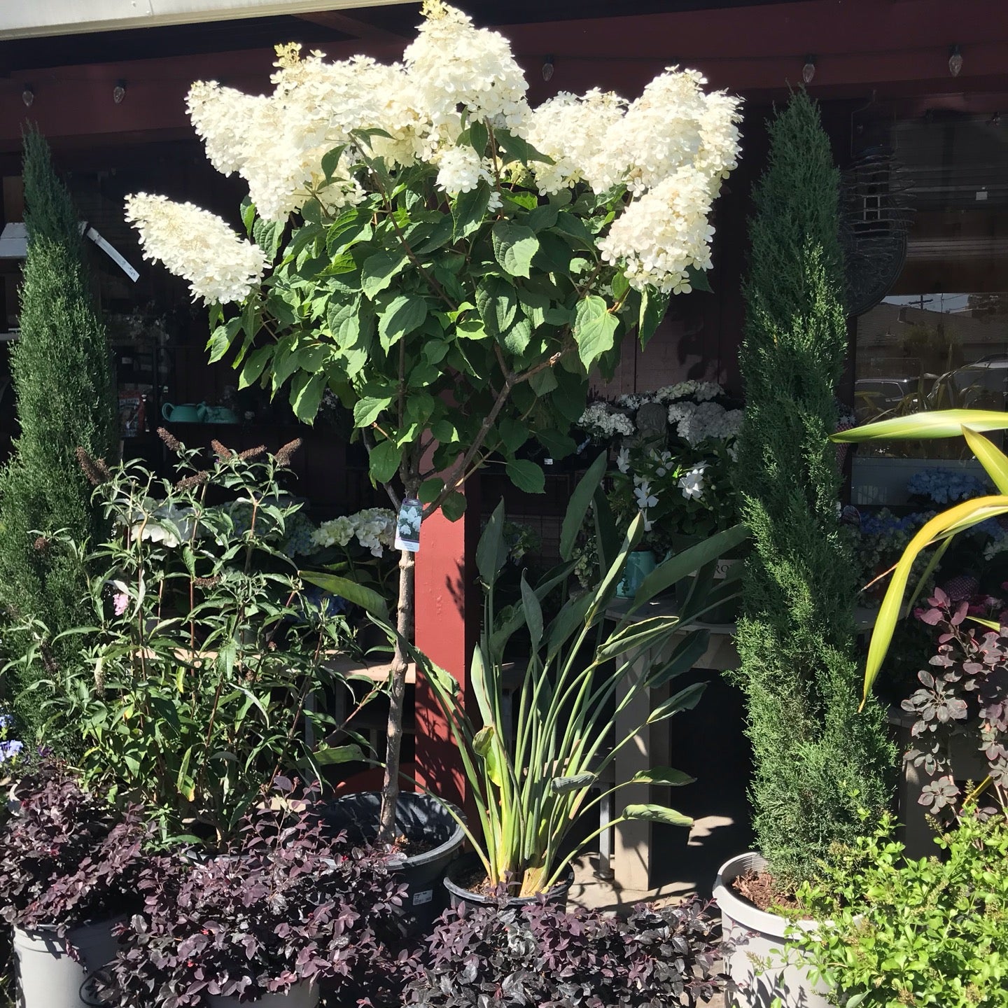 van winden garden center