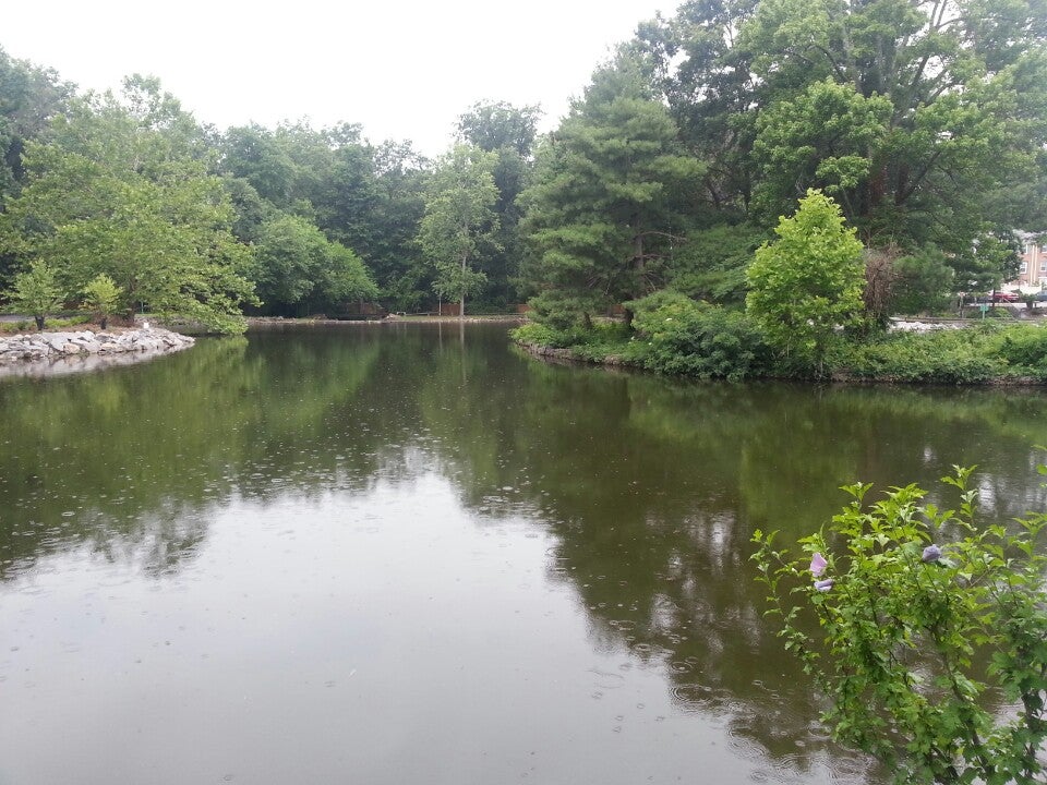 Pinewood Lake Duck Pond, Alexandria, VA MapQuest